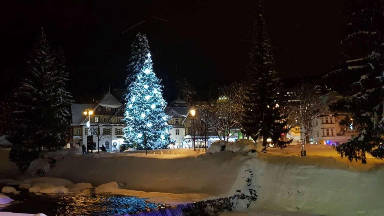 Apartman Medvedin 110 Špindlerŭv Mlýn Extérieur photo
